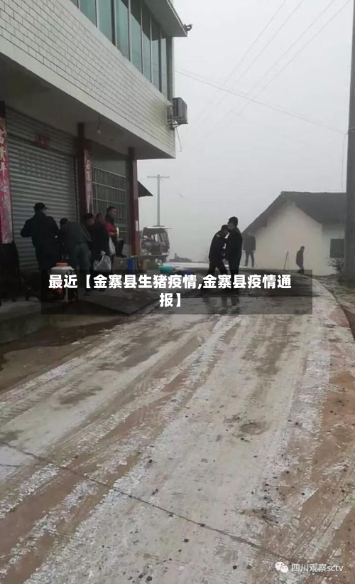 最近【金寨县生猪疫情,金寨县疫情通报】