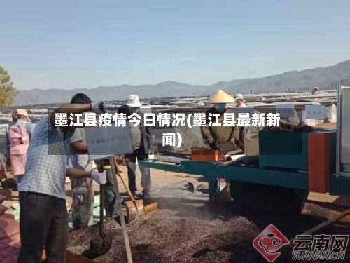 墨江县疫情今日情况(墨江县最新新闻)-第2张图片
