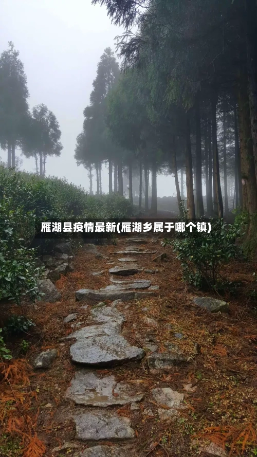 雁湖县疫情最新(雁湖乡属于哪个镇)-第1张图片