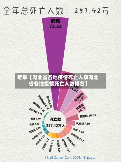 近来【湖北省各地疫情死亡人数湖北省各地疫情死亡人数排名】-第1张图片