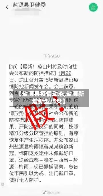 【盐源县疫情动态,盐源新增新型肺炎】-第3张图片