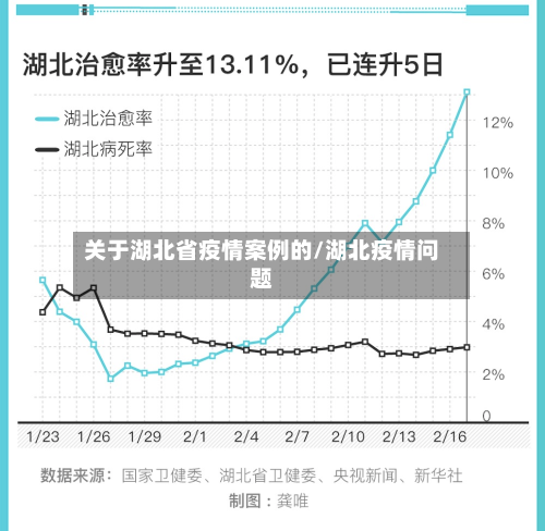 关于湖北省疫情案例的/湖北疫情问题-第2张图片