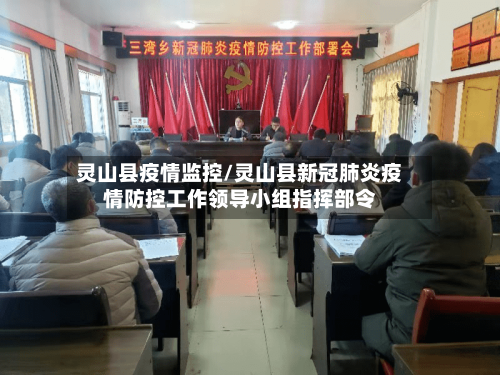 灵山县疫情监控/灵山县新冠肺炎疫情防控工作领导小组指挥部令-第3张图片