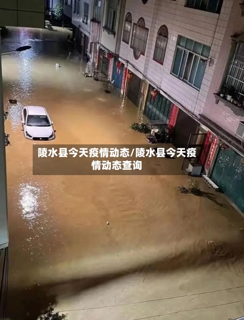 陵水县今天疫情动态/陵水县今天疫情动态查询-第1张图片