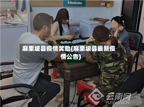 麻栗坡县疫情奖励(麻栗坡县最新疫情公告)-第1张图片