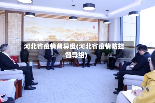 河北省疫情督导组(河北省疫情防控督导组)-第1张图片