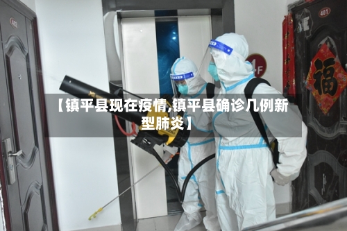 【镇平县现在疫情,镇平县确诊几例新型肺炎】-第3张图片