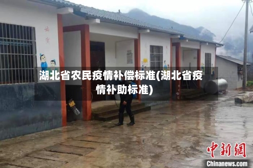 湖北省农民疫情补偿标准(湖北省疫情补助标准)-第1张图片
