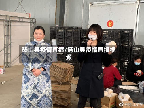 砀山县疫情直播/砀山县疫情直播视频-第1张图片