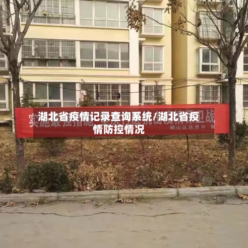 湖北省疫情记录查询系统/湖北省疫情防控情况-第1张图片