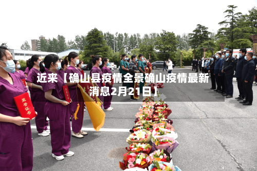 近来【确山县疫情全景确山疫情最新消息2月21日】-第3张图片