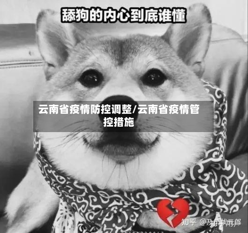 云南省疫情防控调整/云南省疫情管控措施-第2张图片