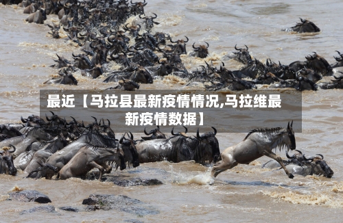 最近【马拉县最新疫情情况,马拉维最新疫情数据】-第2张图片